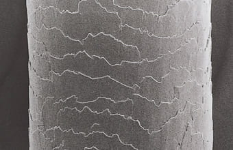 Damaged hair