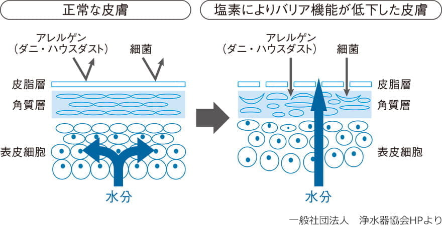 残留塩素による肌への影響